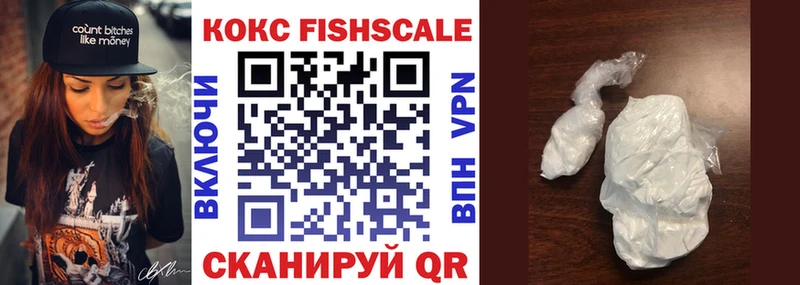 купить наркотики цена  Шадринск  COCAIN Fish Scale 