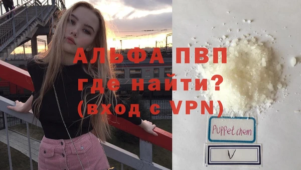ГАЛЛЮЦИНОГЕННЫЕ ГРИБЫ Белокуриха
