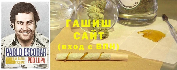 ГАЛЛЮЦИНОГЕННЫЕ ГРИБЫ Белокуриха