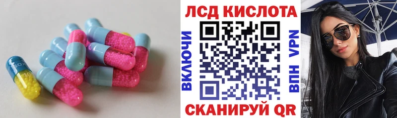 LSD-25 экстази кислота  shop телеграм  Шадринск  хочу  