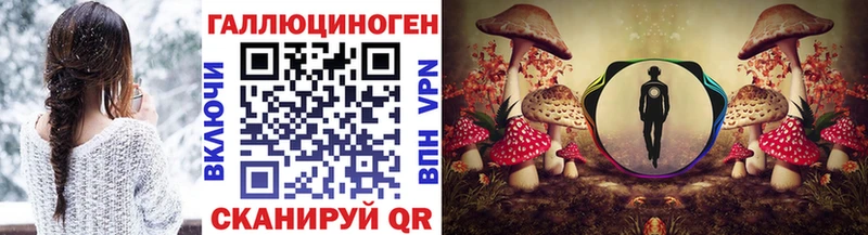 Псилоцибиновые грибы Psilocybine cubensis  Шадринск 
